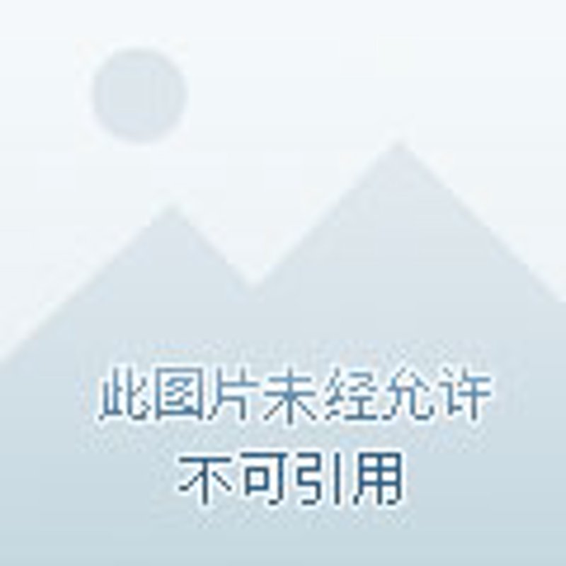 电商之都:探寻重庆商业活力背后的故事